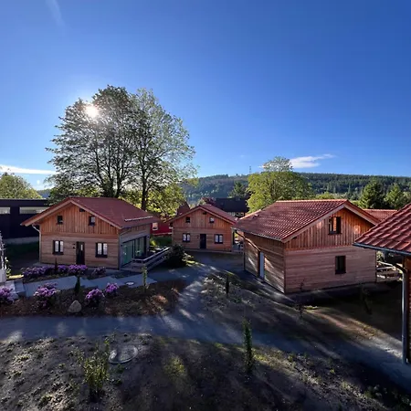 Cecilienpark Oberharz Holiday home *