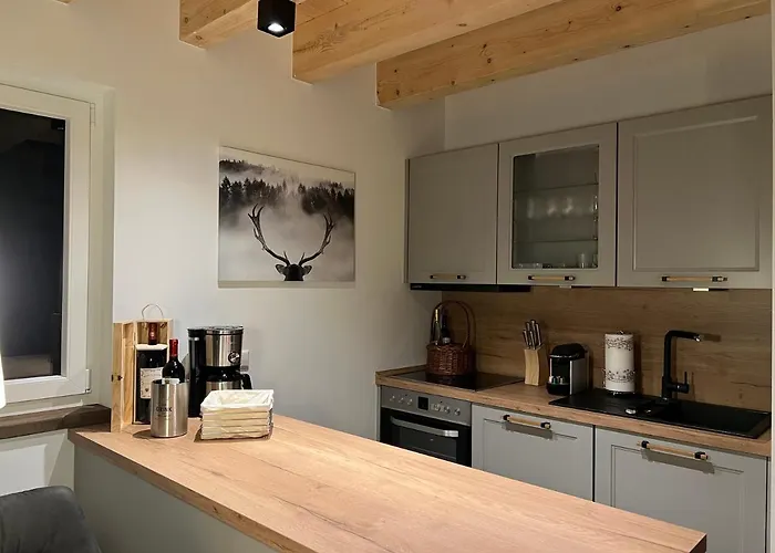 Cecilienpark Oberharz Tatil Evi *