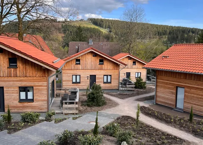 Cecilienpark Oberharz Tatil Evi Goslar